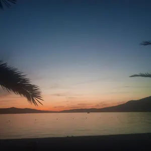 Pepica Trogir
